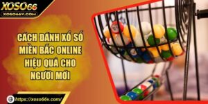 Cách Chơi Xổ Số Online Chuẩn Để Tăng Cơ Hội Trúng Thưởng