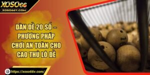 Dàn Đề 20 Số - Phương Pháp Chơi An Toàn Cho Cao Thủ Lô Đề