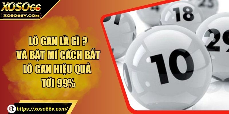 Lô Gan Là Gì Và Bật Mí Cách Bắt Lô Gan Hiệu Quả Tới 99%