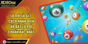 Lô Rơi Là Gì? Cách Nhận Diện Và Bắt Lô Rơi Chuẩn Xác Nhất