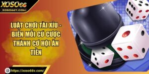 Luật Chơi Tài Xỉu - Biến Mỗi Cú Cược Thành Cơ Hội Ăn Tiền
