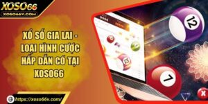 Xổ Số Gia Lai - Loại Hình Cược Hấp Dẫn Có Tại Xoso66 