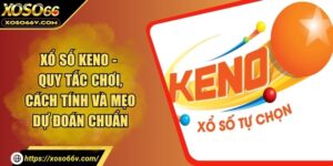 Xổ Số Keno - Quy Tắc Chơi, Cách Tính Và Mẹo Dự Đoán Chuẩn