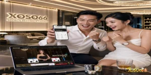 XOSO66 hợp tác AO88